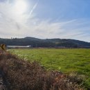 도산1리 버스정류장 이미지