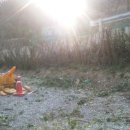 양지마을2길 이미지