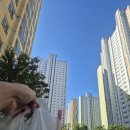 지에스25고령문화원점 | 마린애시앙 실거주 후기｜가격은 왜 더디게 오르고, 나는 왜 계속 살까
