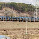 F9981 네이버블로그