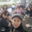 26년4월13일 노세 남산 청개천남대문시장 이미지
