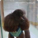 바람난가위 네이버블로그