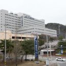 성가롤로병원 이미지