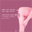 다리 이미지