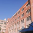 라고스테마 이미지