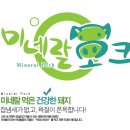 농업회사법인 더한식품 주식회사