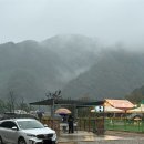 별이 내리는 집 | [동해] 애견동반 가능한 별비담 캠핑장 우중캠핑 후기(명당 추천!)