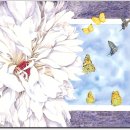 수채화(고) 이미지