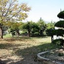 안강초등학교 이미지