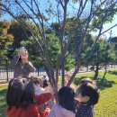 알곡어린이집 이미지