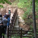 국립대관령치유의숲 네이버블로그