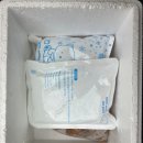 5월28일.5kg급 생물대구 (동해),명주조개 이미지