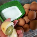 귀빈사우나찜질방 이미지