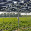 서진 태양광발전소 이미지