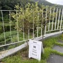 머스트화이트2동 이미지