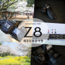 디지털 카메라 (DSLR) 100 활용하기 | 4월 제주도 여행 벚꽃과 유채꽃 가득한 제주도 사진 여행_니콘 풀프레임 미러리스 카메라 Z8과 Zf 출사