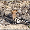 국채보상운동기념공원 이미지