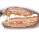 한마음동물의료원 이미지