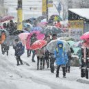 대구하빈초등학교 이미지