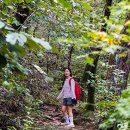 차마시기 이미지