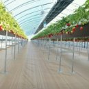 김해농장 이미지