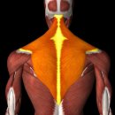 로얄짐 1호점 이미지