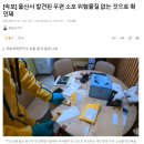 울산 장애인시설에 배송된 수상한 소포…'브러싱 스캠' 가능성 이미지