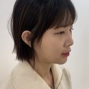 파니샵