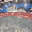 신광사진관 이미지