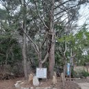 수정5동체육공원 이미지