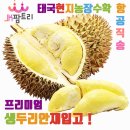 케이앤모바일 네이버블로그
