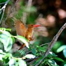 옥산세천 이미지