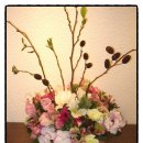 서교초교 이미지