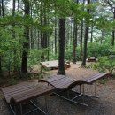 진밭골산림욕장 이미지