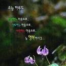 싱싱무도장 이미지