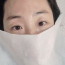 엘리시안A.P.T | 상동속눈썹 후기 속눈썹스튜디오미 단백질펌 만족