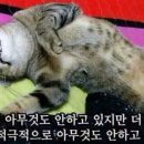 울랄라 - 안양시 동안구 관악대로287번길 58 | 울랄라
