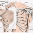 어깨의 통증과 결분혈(缺盆穴) 이미지