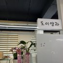 도이양과