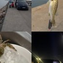 올게이츠1 이미지