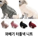 애견# 이미지