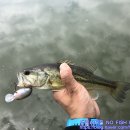 남대천R 이미지