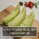 허니듀 | [프레시프루트마켓] 고당도 미국산 허니듀 멜론 과즙 팡팡 찐 후기