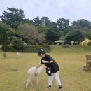 화조원 | 제주 화조원 방문 후기 🦜 알파카와 조류공연까지 꽉찬 재미와 힐링 가득