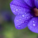 별이되다 이미지