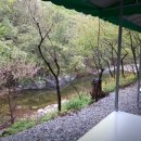 갈론계곡캠핑장 이미지