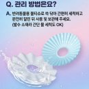 고양이 방수넥카라 맥길이네 귀상처 관리 후기