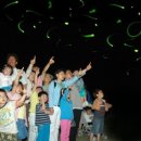 다슬기 반딧불이 이미지