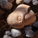 카오아시스 이미지