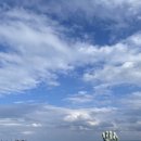 합성동292 이미지